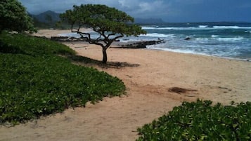 Tæt på stranden, liggestole, badehåndklæder