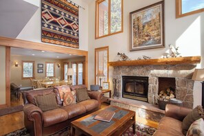 电视、壁炉、电子游戏、DVD 播放器