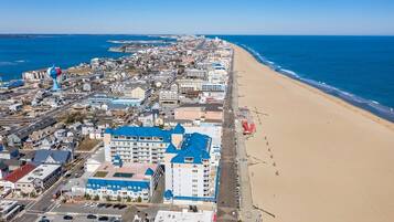 Plage, chaises longues