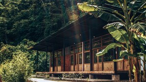Un bâtiment en bois doté de grandes fenêtres, entouré d’une végétation luxuriante.