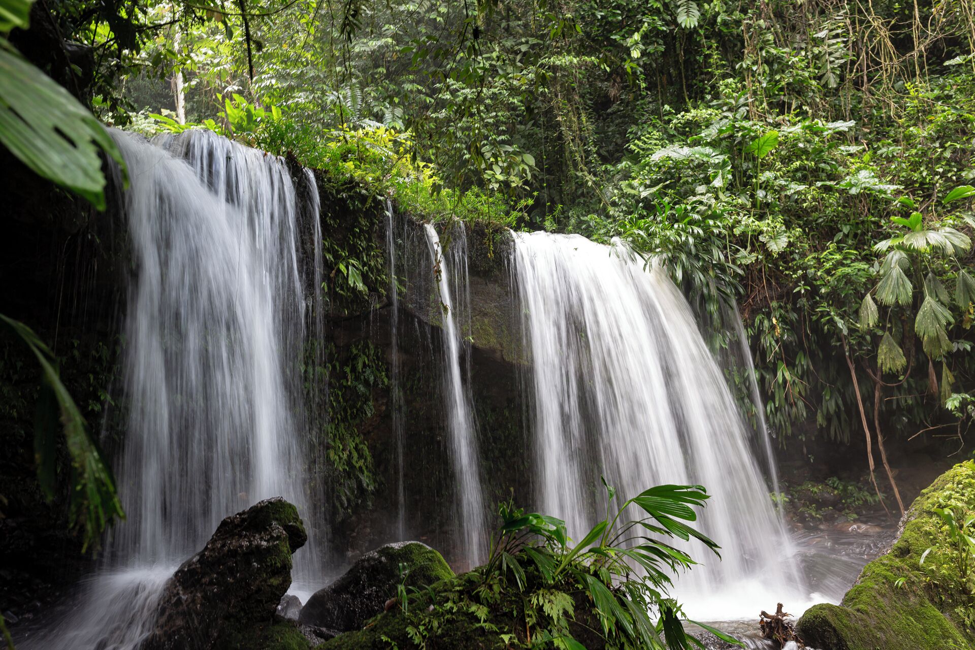 Una cascada rodeada de exuberante vegetación.