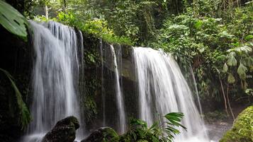 Una cascada rodeada de exuberante vegetación.