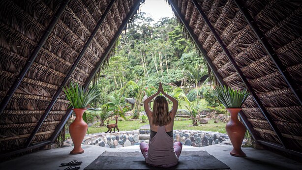 Une personne est assise sur un tapis à l’intérieur d’une structure au toit de chaume, avec des plantes en pot de chaque côté.