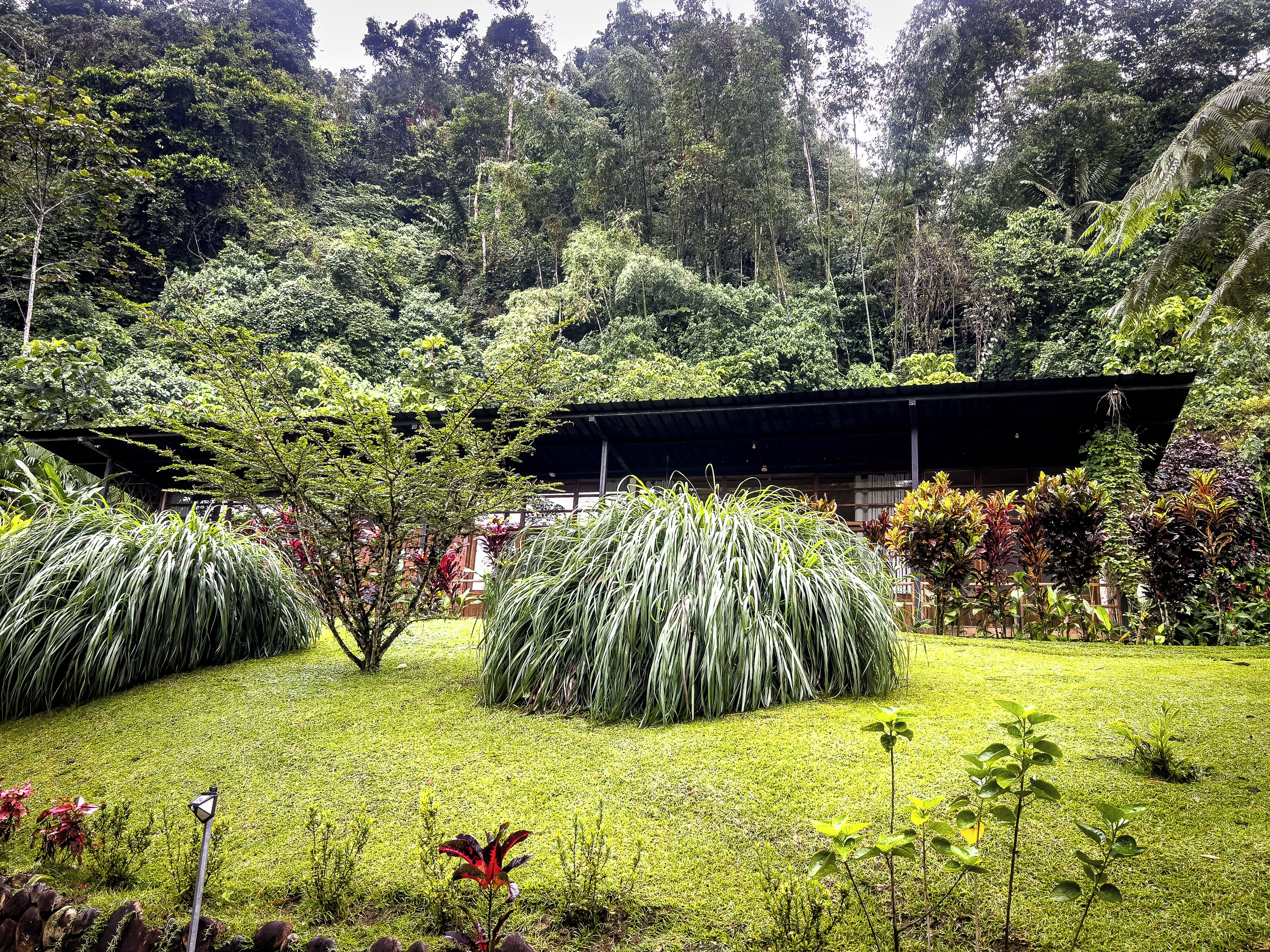 A lush garden with a variety of plants and trees, a covered structure, and a well-maintained lawn.