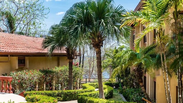 Un patio con una palmera, setos bien cuidados y un edificio con tejado de baldosas.