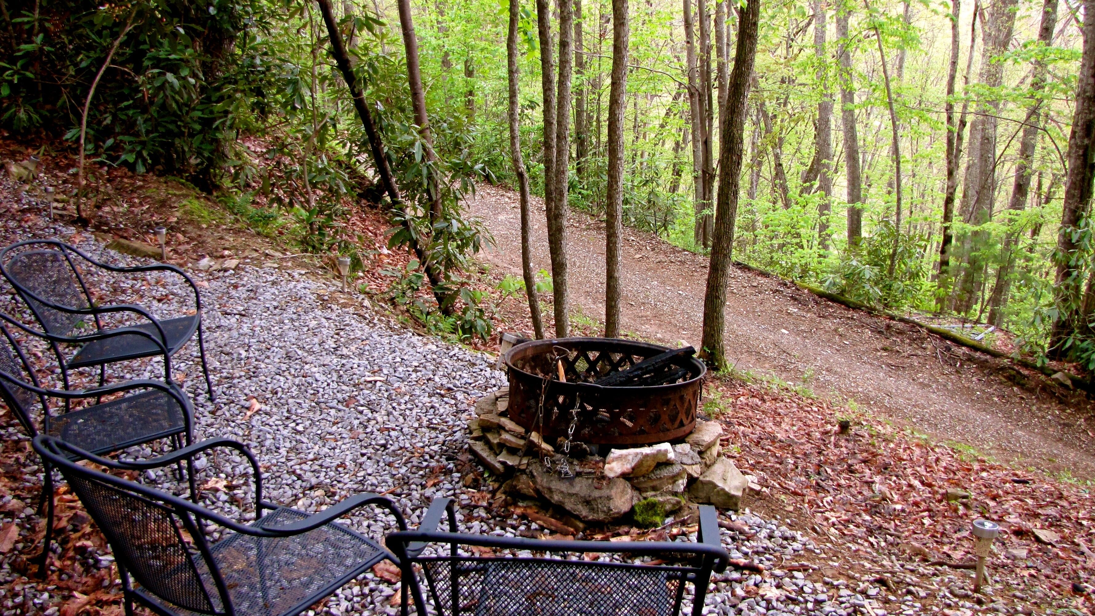 Une zone boisée avec un foyer entouré de rochers et un banc en métal.