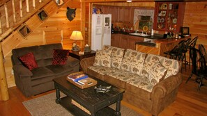 Una televisión, una chimenea, un reproductor de DVD, libros