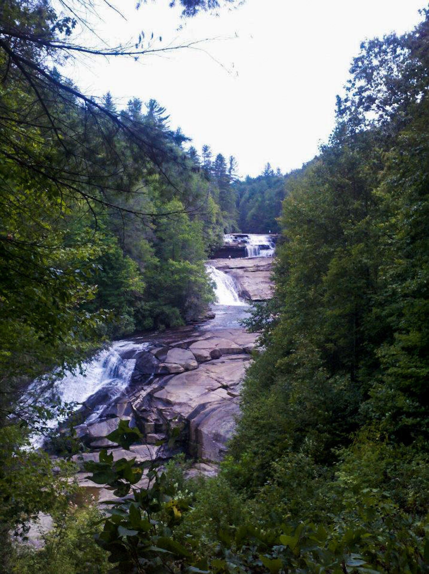 Una cascada se precipita sobre terreno rocoso, rodeada de un bosque denso.