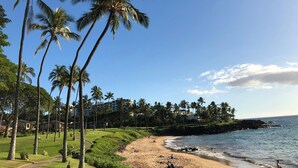 A beach with palm trees, a pathway, and a view of the ocean. - 1 Of Largest 2 Bedroom Units, 1 Of Highest # of 5 Star Reviews,Picture Sunsets. (Kihei)