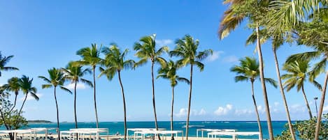 On the beach, sun-loungers, beach towels