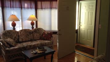 TV, DVD player, books, video library