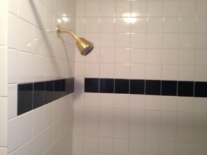 Combined shower/tub, hair dryer, towels, soap