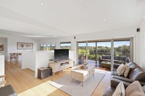 Smart TV, fireplace, DVD player, stereo