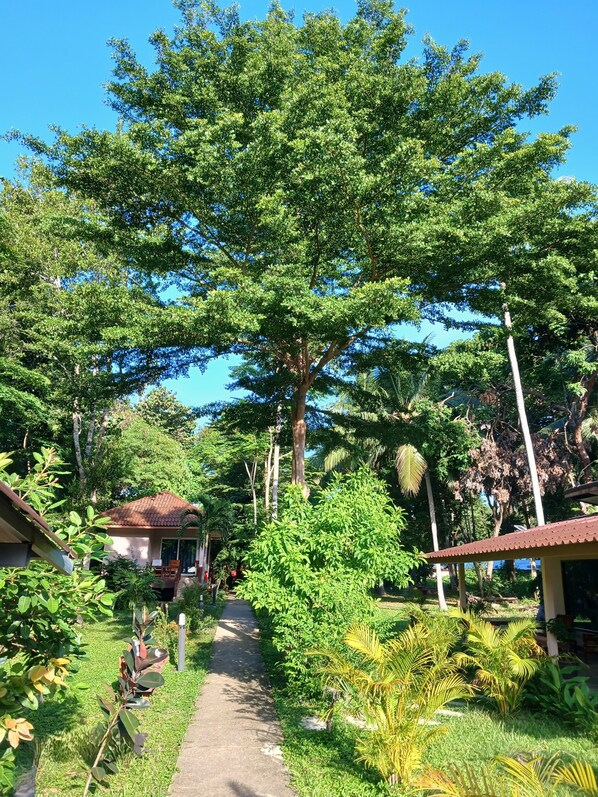 Exterior - Baan Long Beach (Ko Lanta)