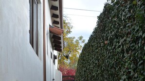 Ein schmaler Pfad, gesäumt von einem weißen Gebäude und einer hohen Hecke.