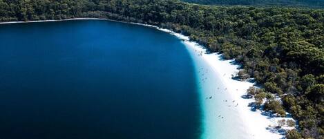 Accommodatie ligt op het strand, ligstoelen