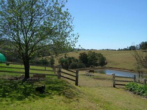 Àrea exterior de l'allotjament