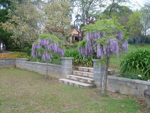 Ein Garten mit violetten Wisteria-Ranken, einer Steintreppe und einem Haus im Hintergrund.