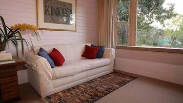 TV connectée, cheminée, lecteur de DVD, livres