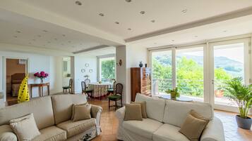 Televisión, chimenea y libros