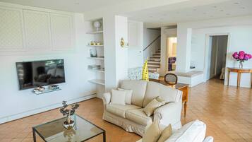 Televisión, chimenea y libros