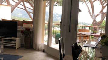 TV, caminetto, lettore DVD, tavolo da ping pong