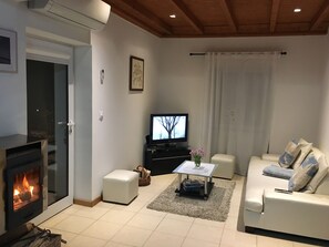Televisión, chimenea, libros
