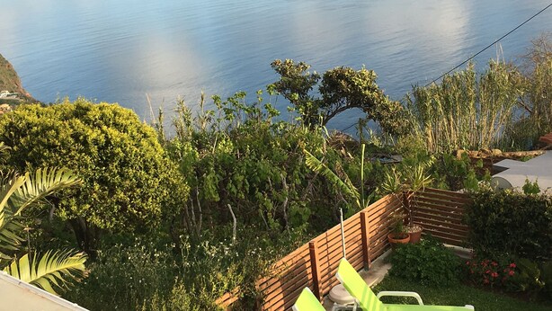 Un paysage côtier offrant une vue sur la mer, avec une végétation luxuriante et une clôture en bois.