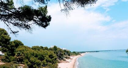 MAGNIFICENT CHALET, 5 NIMUTOS FROM THE BEACH, WITH POOL, TERRACE AND WIFI.