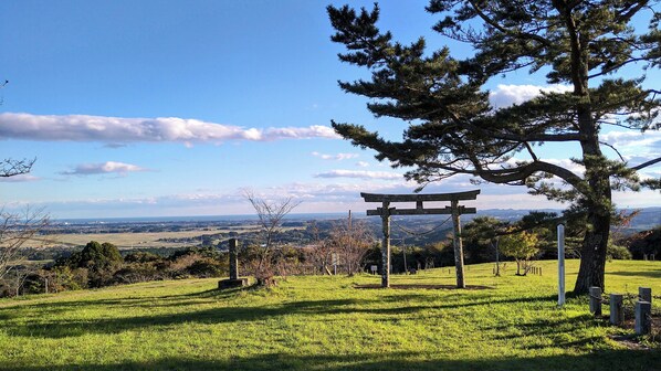 A grassy hill with a wooden structure, possibly a gazebo, and a large tree. - Ishinomaki Grand Hotel (Isinomaki)
