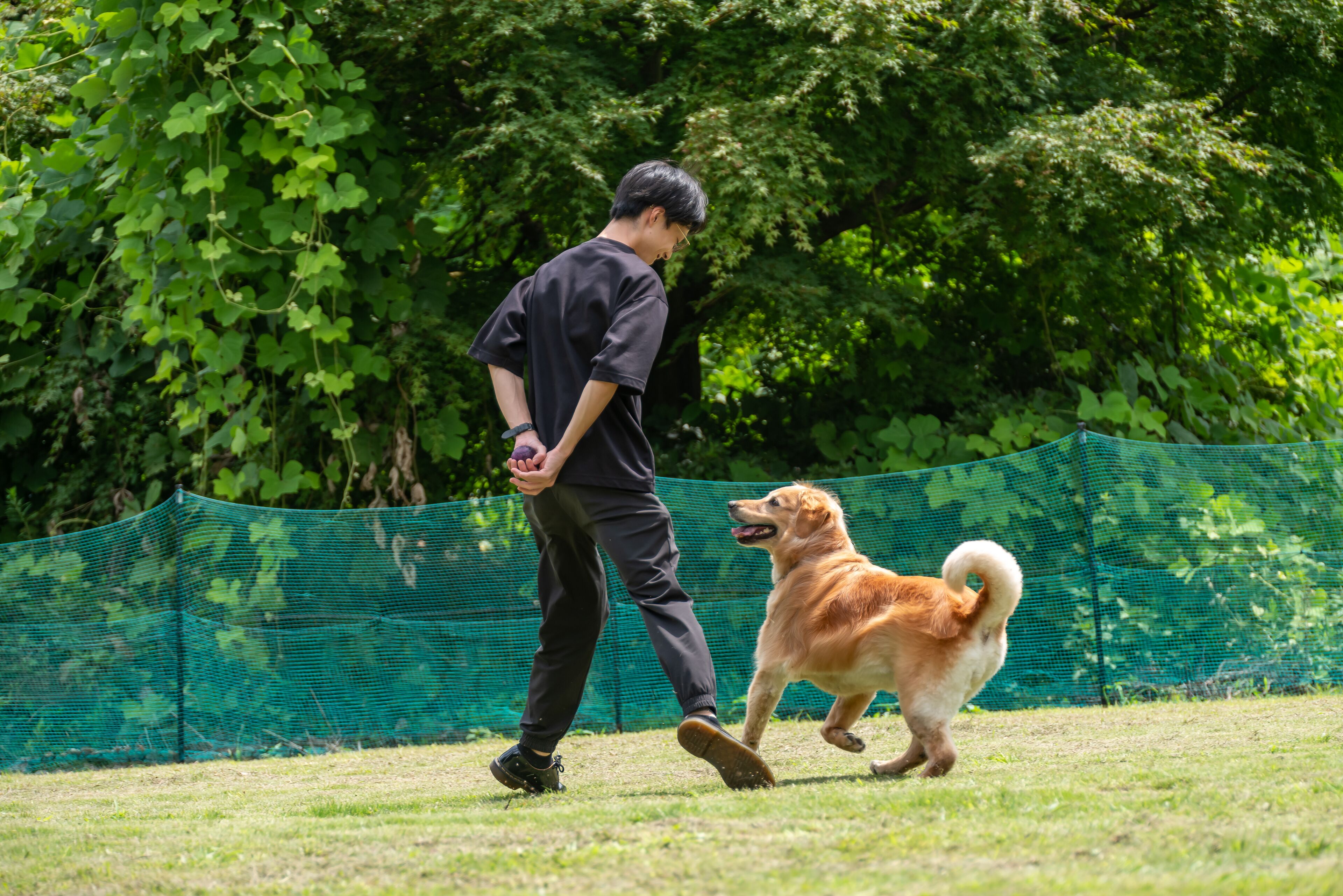Prestations adaptées aux animaux de compagnie