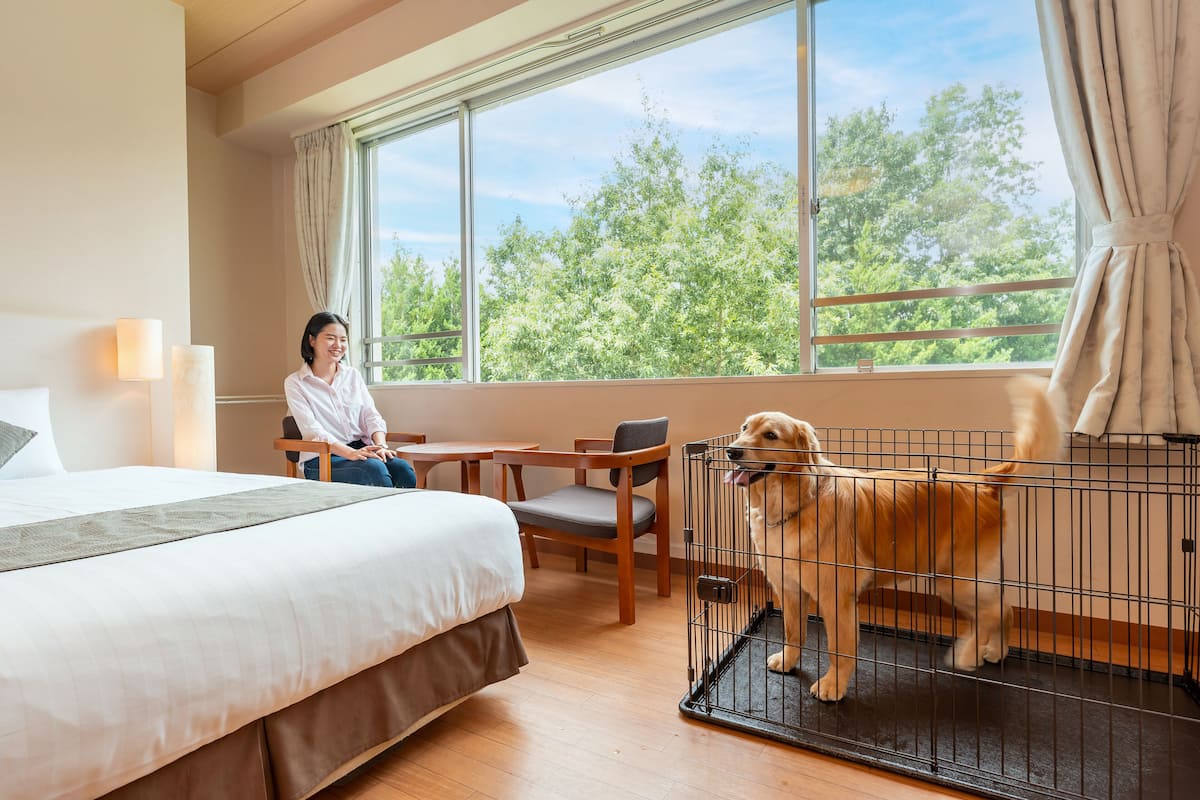 Une chambre d’hôtel avec un lit, un bureau, une chaise et une fenêtre donnant sur des arbres.