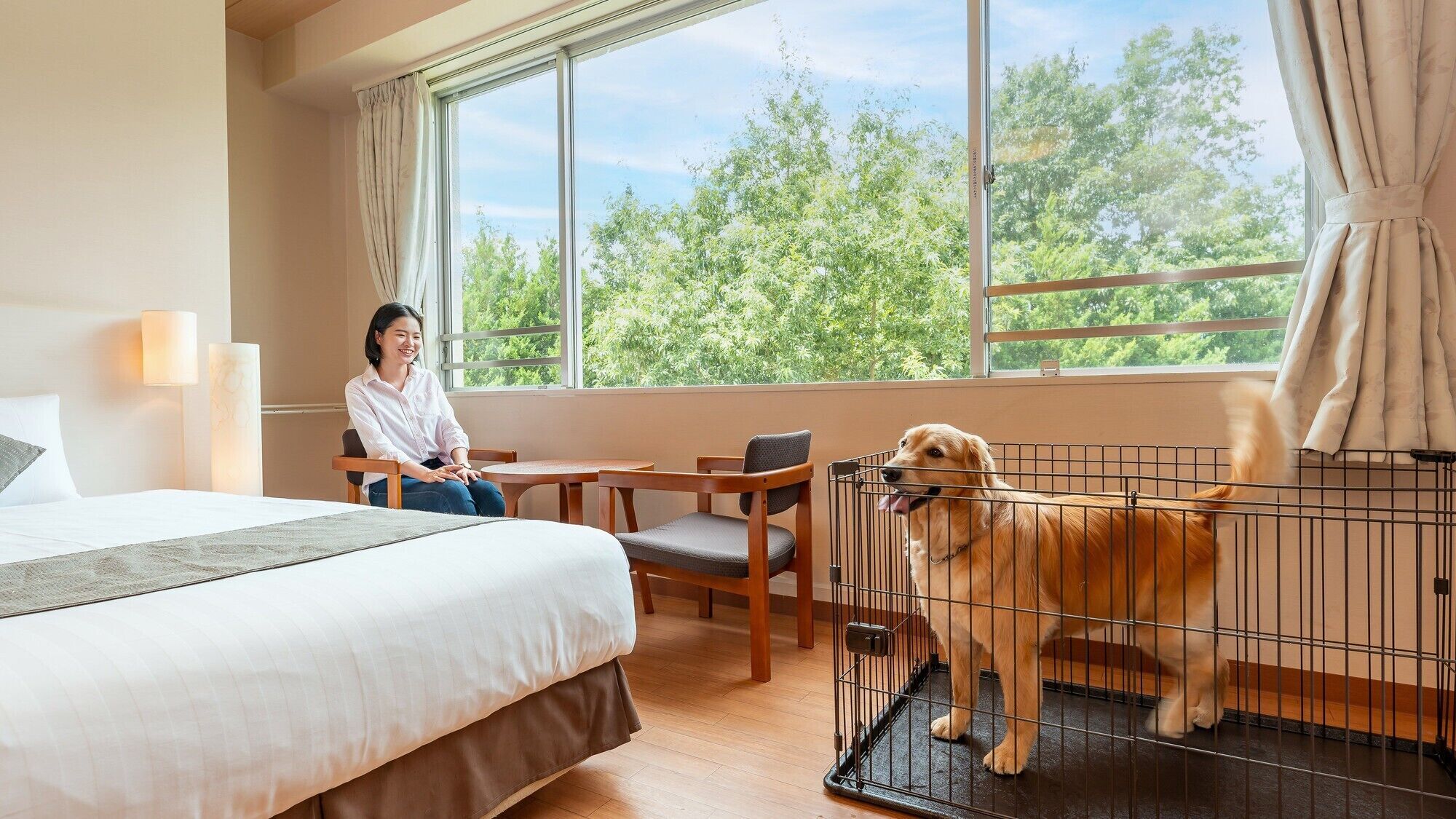 Ein Hotelzimmer mit Bett, Schreibtisch, Stuhl, einem Fenster mit Vorhängen und einem Hund in einer Transportbox.