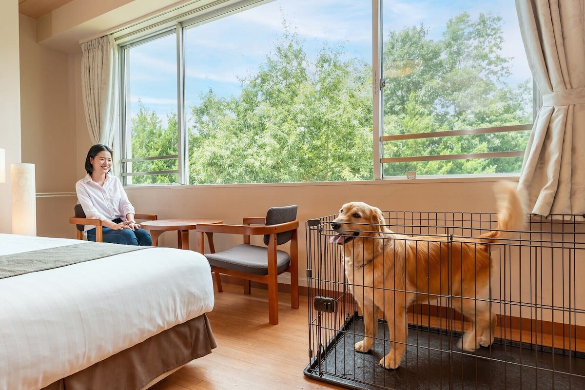 Une chambre d’hôtel avec un lit, un bureau, une chaise, une fenêtre avec des rideaux et un chien dans une cage.