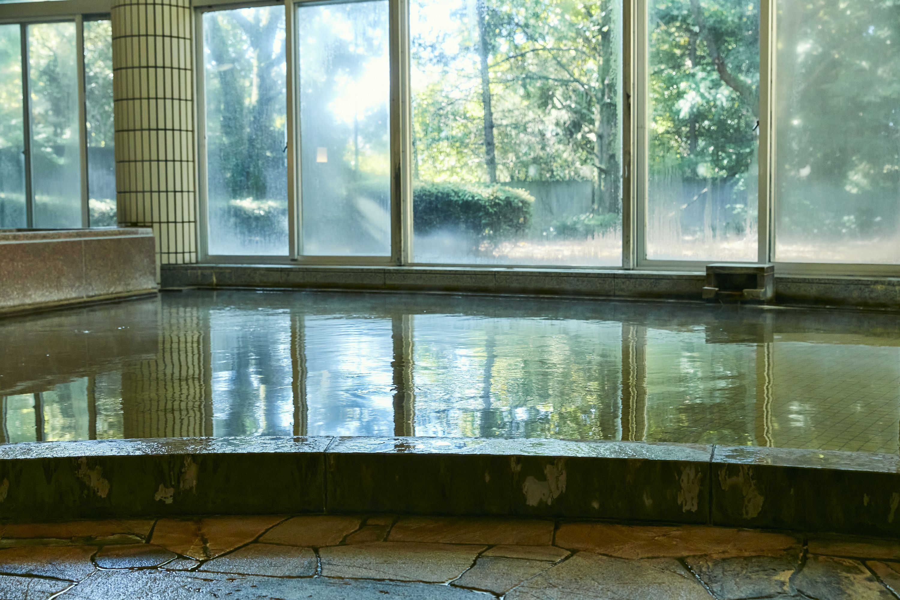 Una amplia piscina interior con paredes de vidrio transparente que reflejan los árboles y el cielo circundantes.