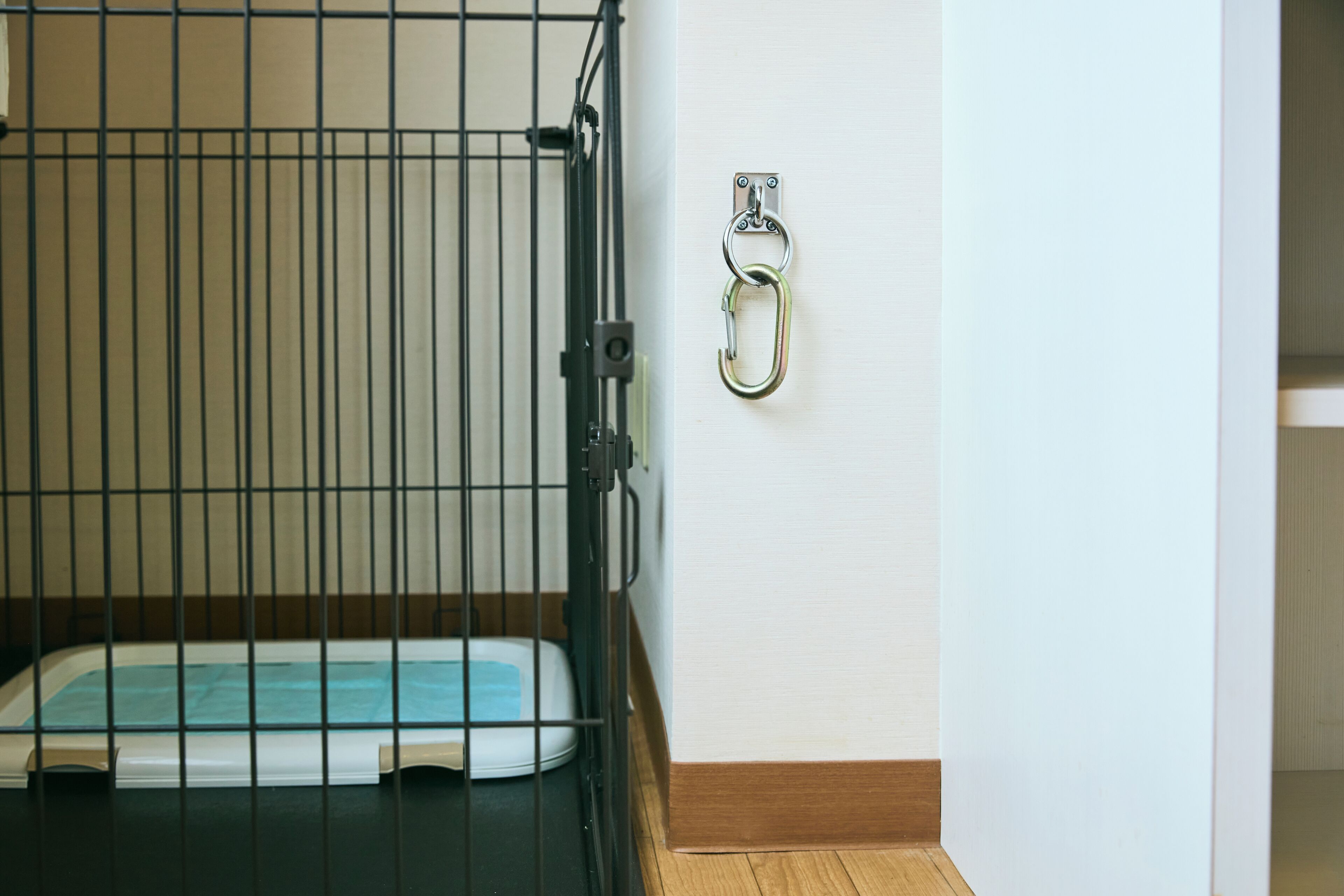 A pet kennel with a metal gate and a metal latch on the wall.