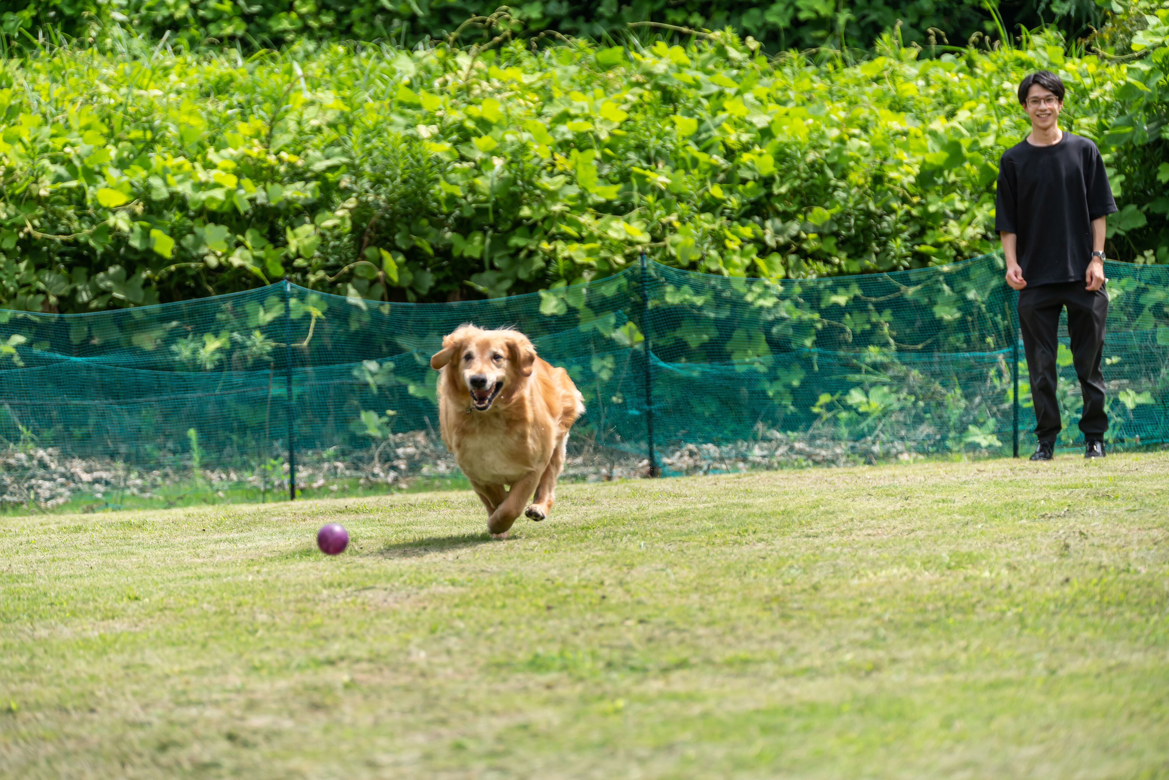 A dog running on a grassy field with a person standing in the background.