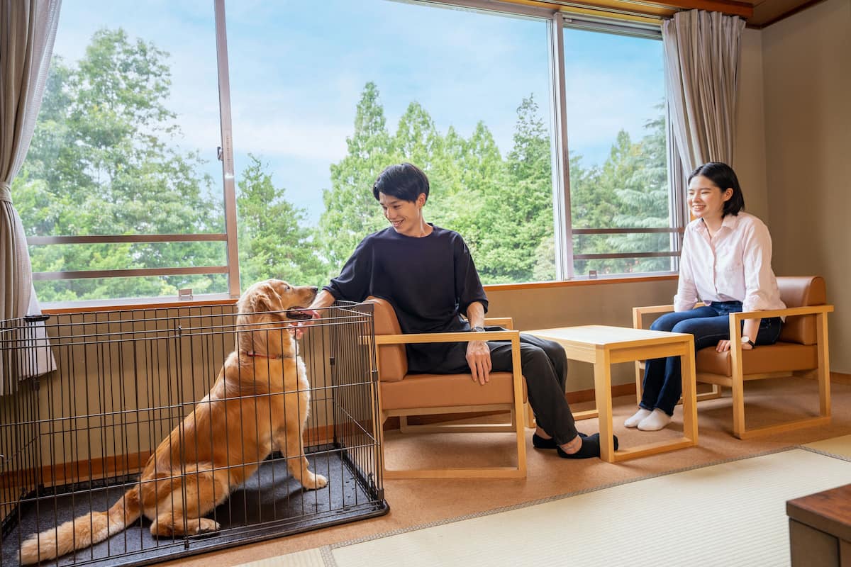 Une pièce avec une grande fenêtre, un canapé, une petite table et un chien dans une cage.
