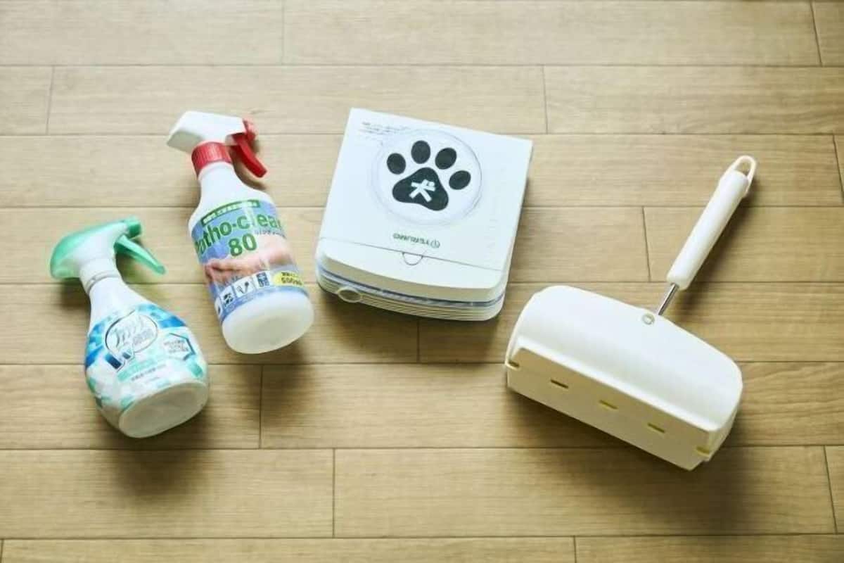 Hair dryer, slippers, electronic bidet, towels