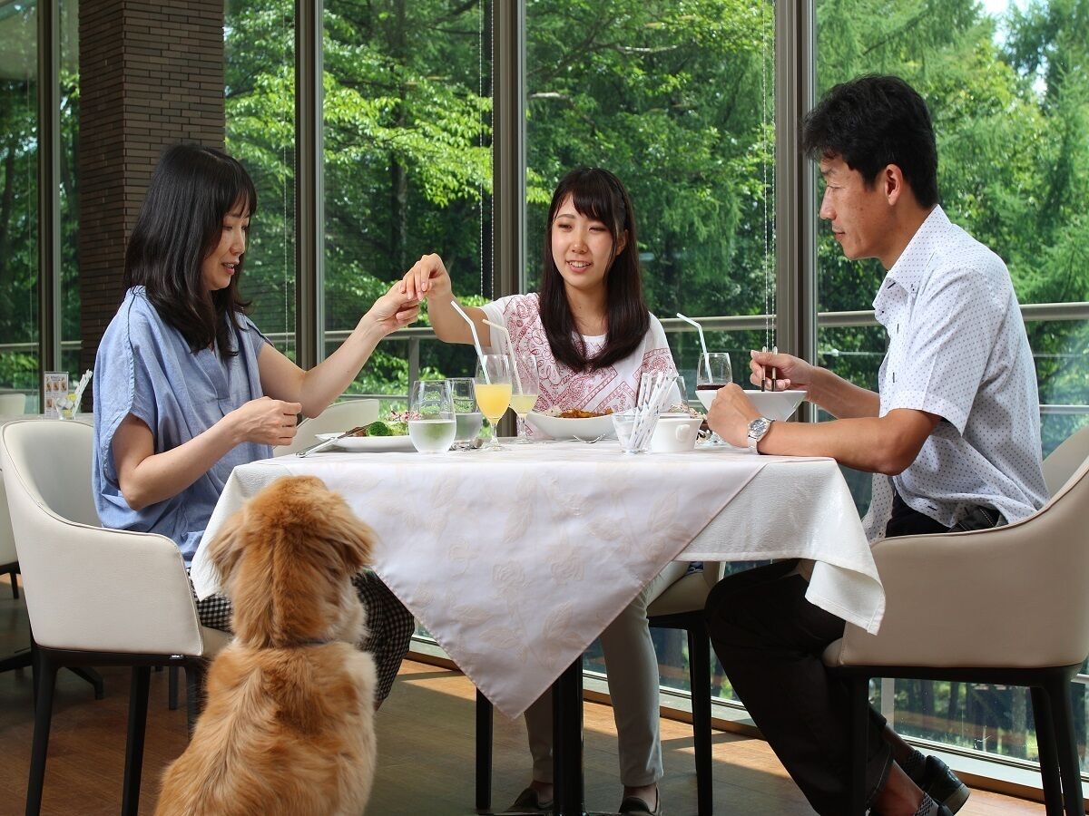 用餐