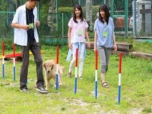 Jardines del alojamiento