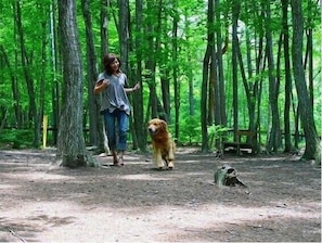 Property grounds - Yatsugatake Wanwan Paradise (Hokuto)