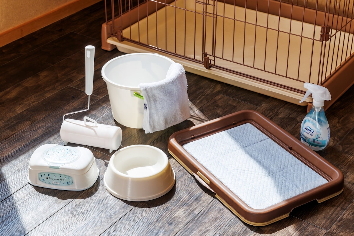 A pet care setup with a water dispenser, a bowl, a feeding mat, a water filter, and a spray bottle.