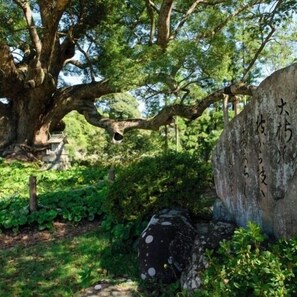 Property grounds - Kawatana Grand Hotel Otafuku (Shimonoseki)