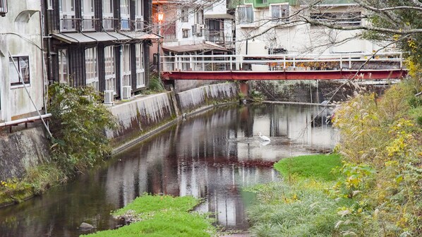 Un río con un puente, edificios y vegetación.