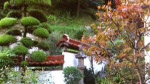 A garden with various plants and a traditional building with a tiled roof. - Yunotsu Onsen Nogawaya Ryokan (Oda)