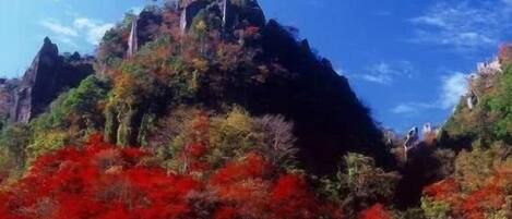 A mountainous landscape with a prominent peak and dense foliage.