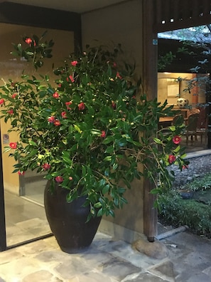 Interior - Akebono (Saga)