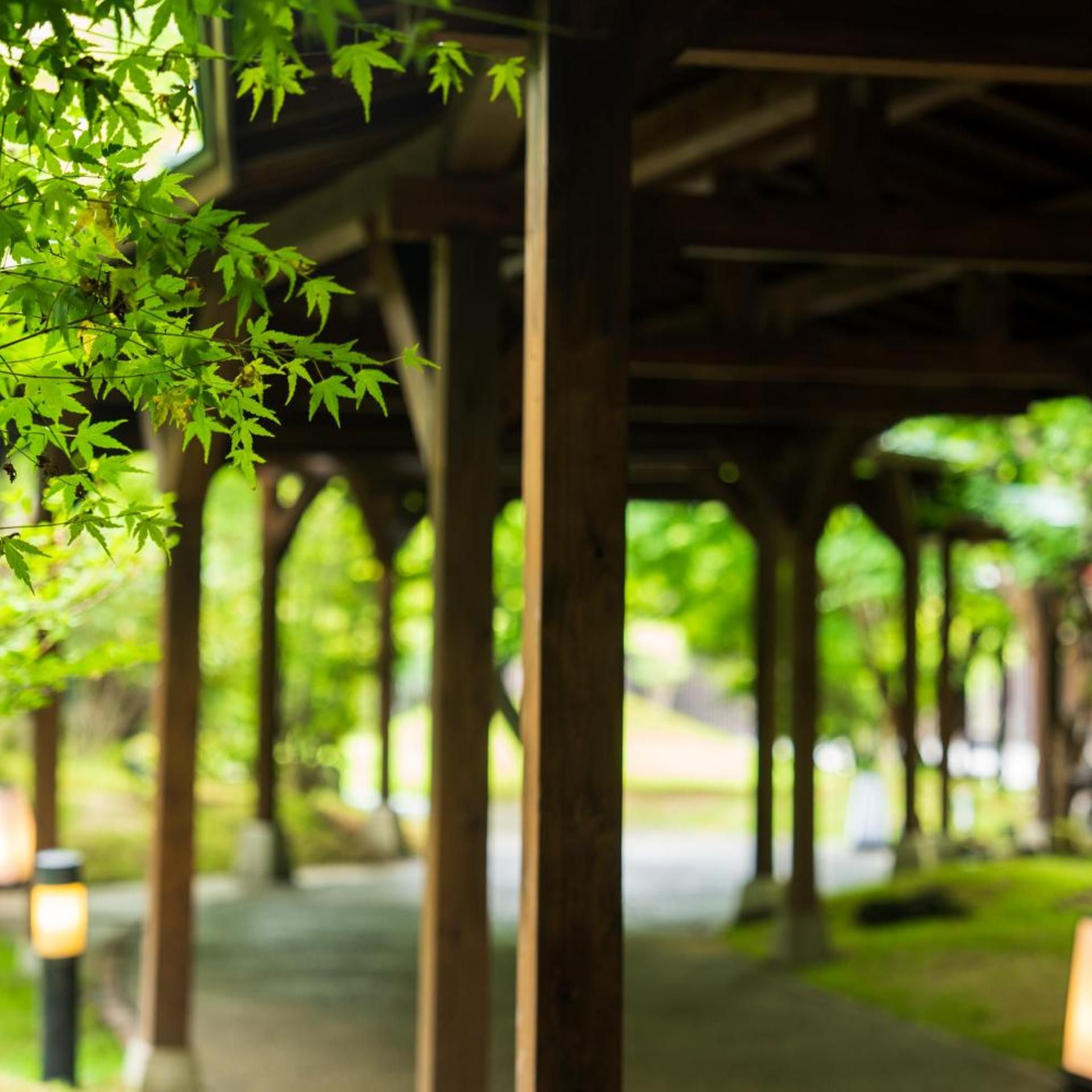 A covered outdoor area with wooden beams and a pathway.
