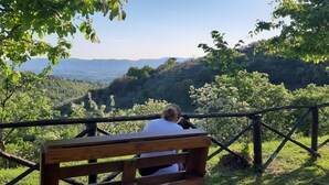 Un banc en bois, placé de manière à offrir une vue sur une vallée verdoyante et des montagnes lointaines.